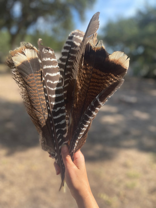 Band and feathers